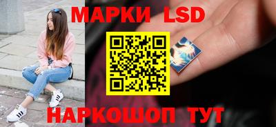 ешки Гай