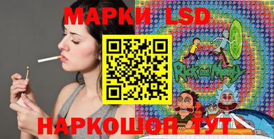 хмурый Гатчина